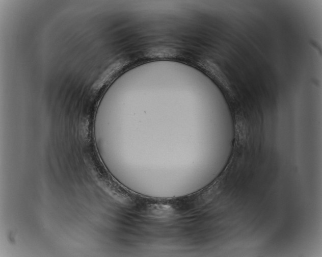 X0000099940159200806061527