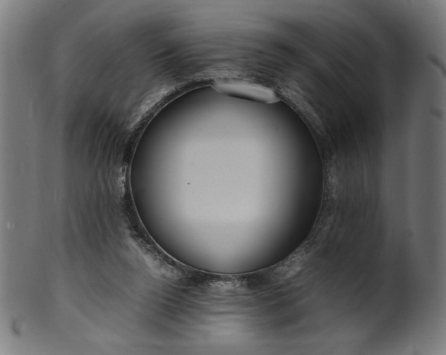 X0000099940160200806061527