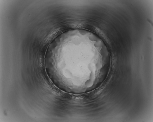X0000099940161200806061527