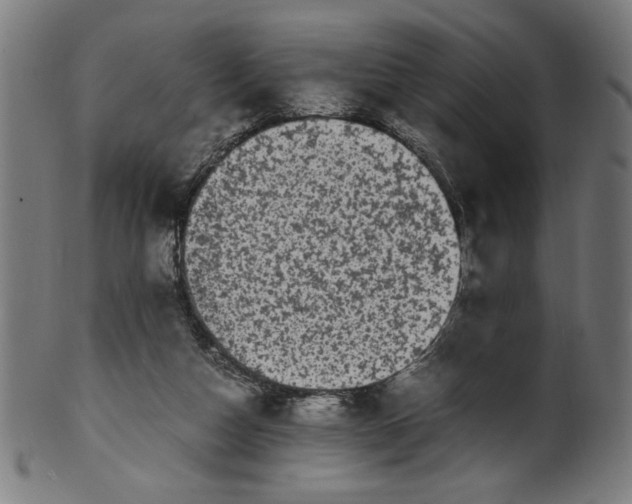 X0000099940162200806061527