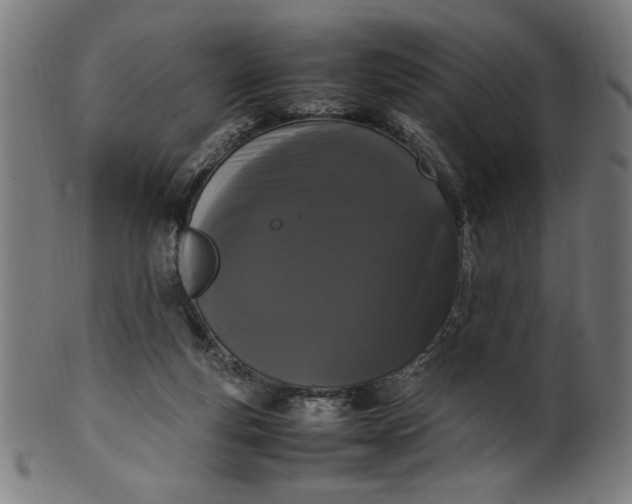 X0000099940163200806061527