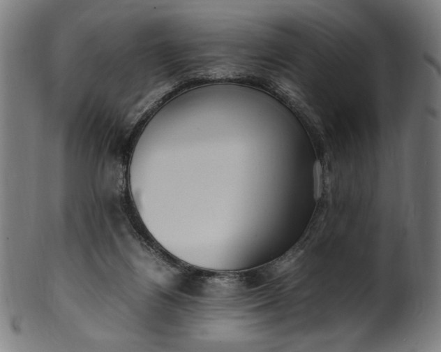 X0000099940164200806061527