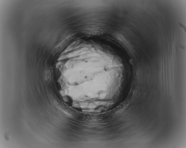 X0000099940165200806061527