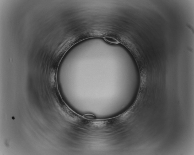 X0000099940166200806061527