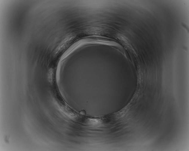 X0000099940167200806061527