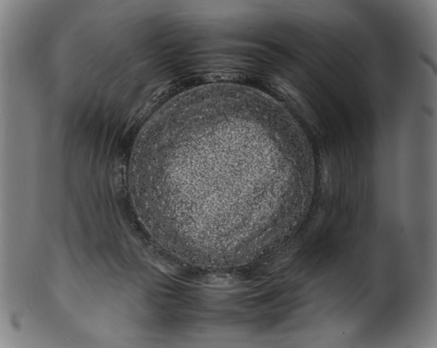 X0000099940169200806061527