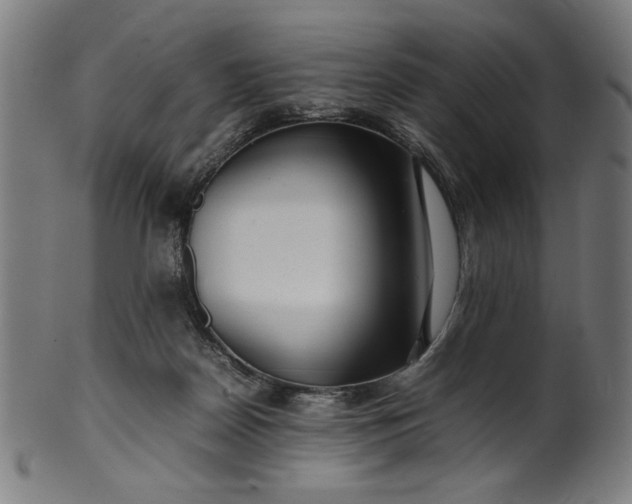 X0000099940170200806061527