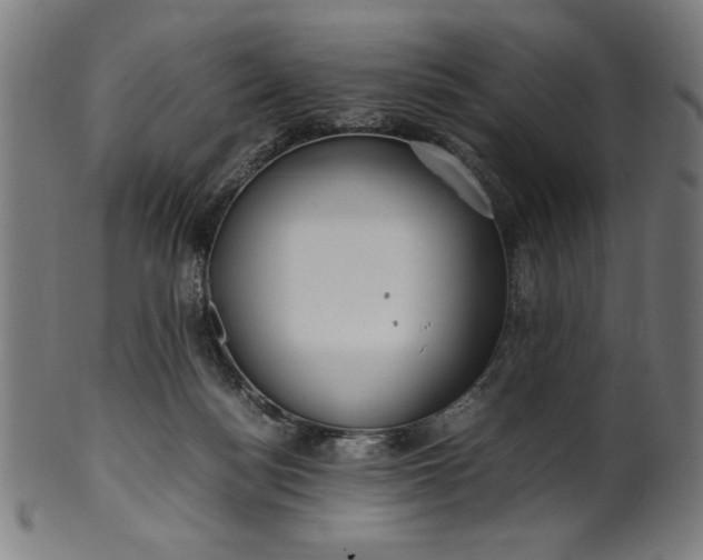X0000099940172200806061527