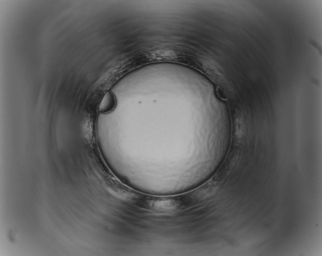 X0000099940173200806061527