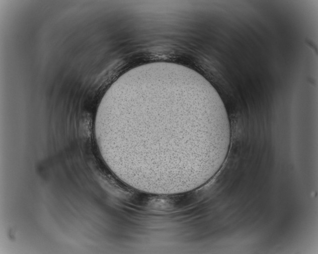 X0000099940174200806061527