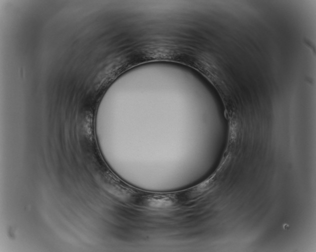 X0000099940175200806061527