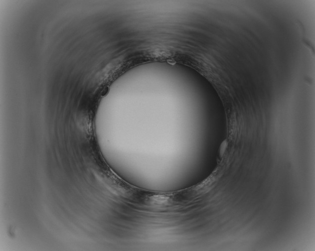 X0000099940176200806061527