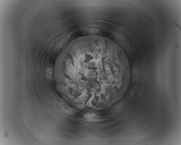 X0000099940177200806061527
