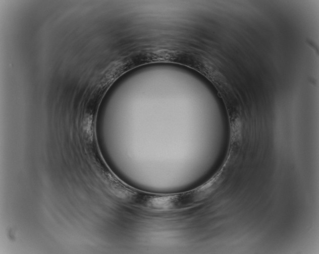 X0000099940178200806061527