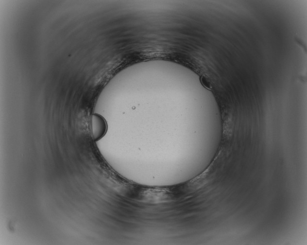 X0000099940179200806061527