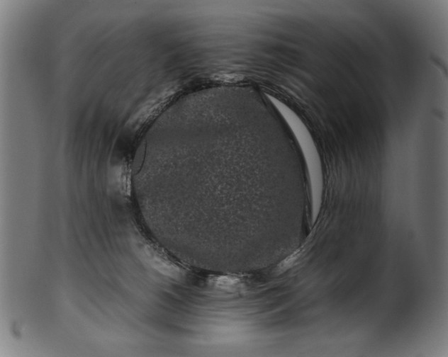X0000099940180200806061527