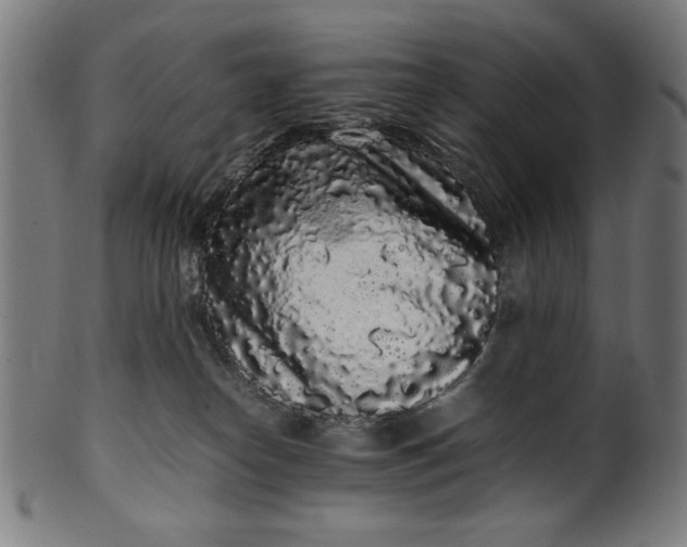 X0000099940182200806061527