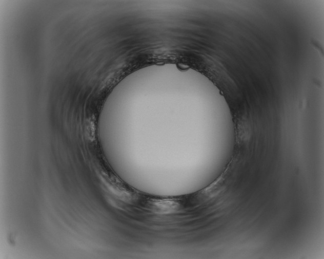 X0000099940183200806061527