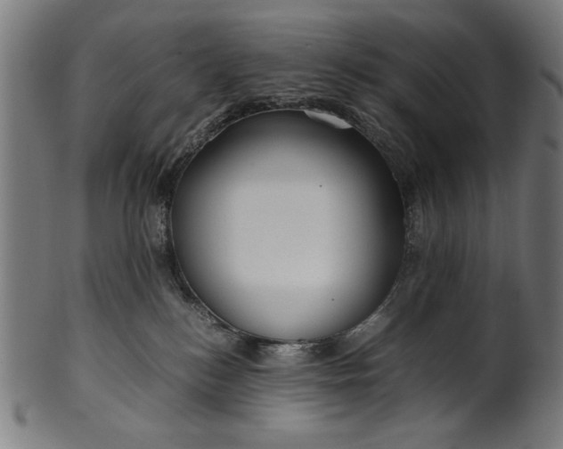 X0000099940184200806061527