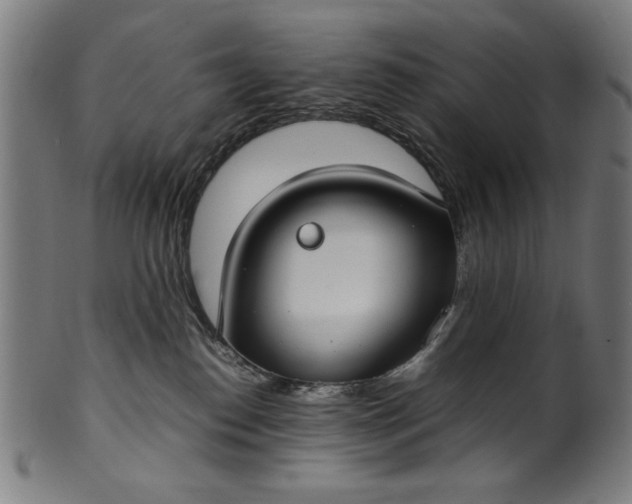 X0000099940186200806061527
