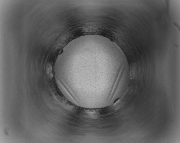 X0000099940187200806061527