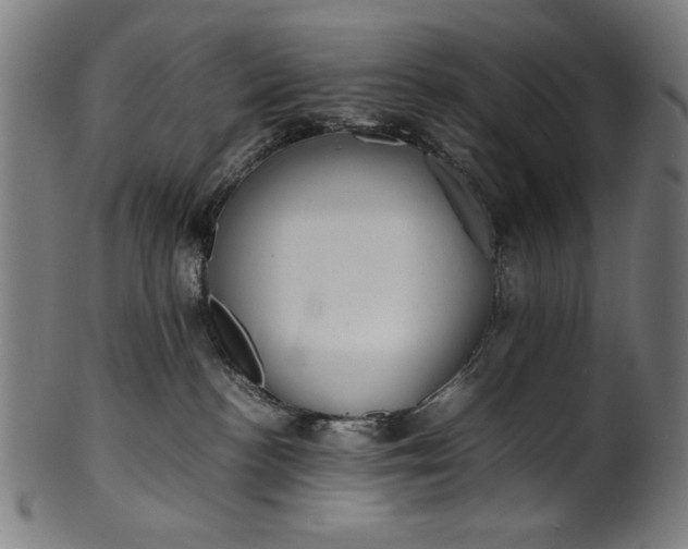 X0000099940188200806061527