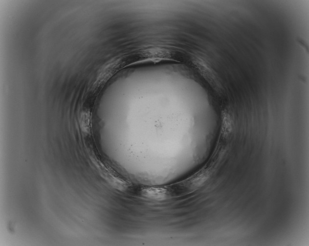 X0000099940189200806061527
