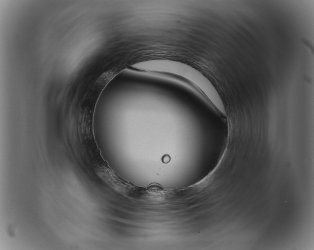 X0000099940190200806061527