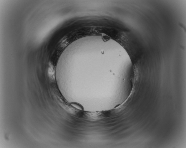 X0000099940191200806061527