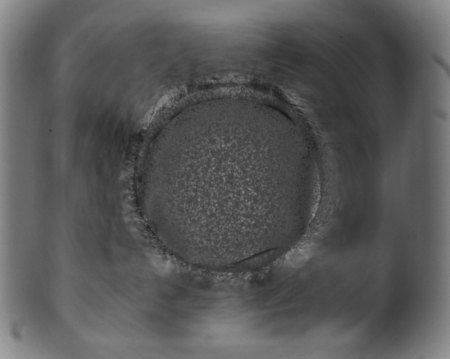 X0000099940192200806061527