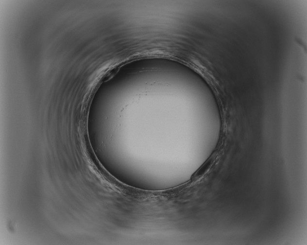 X0000099940193200806061526