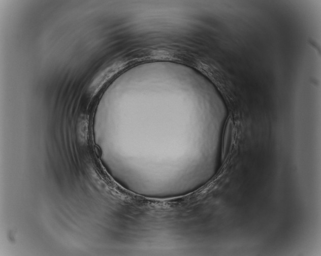 X0000099940194200806061526