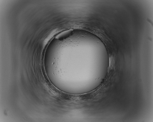 X0000099940195200806061526