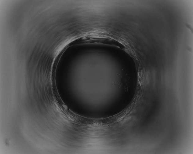 X0000099940196200806061526