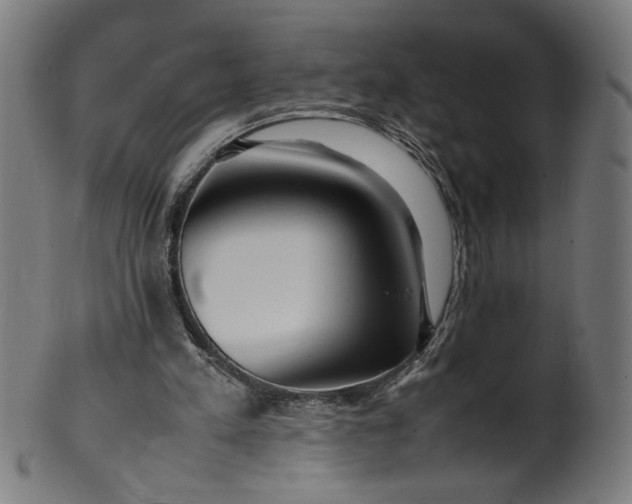X0000099940197200806061526