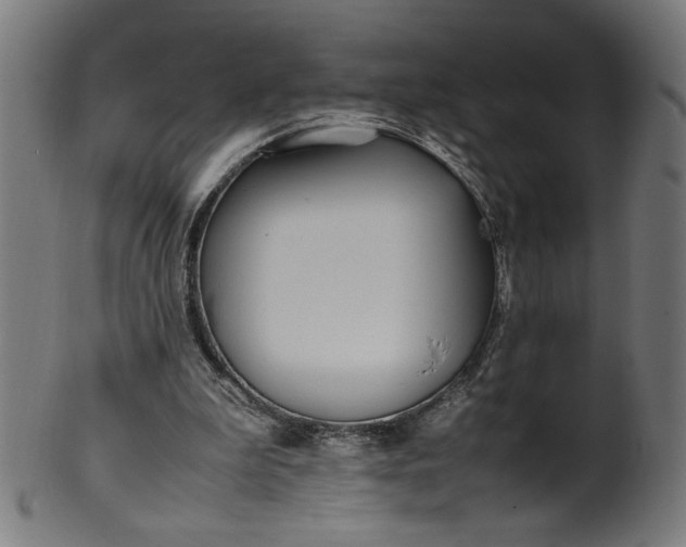 X0000099940199200806061526