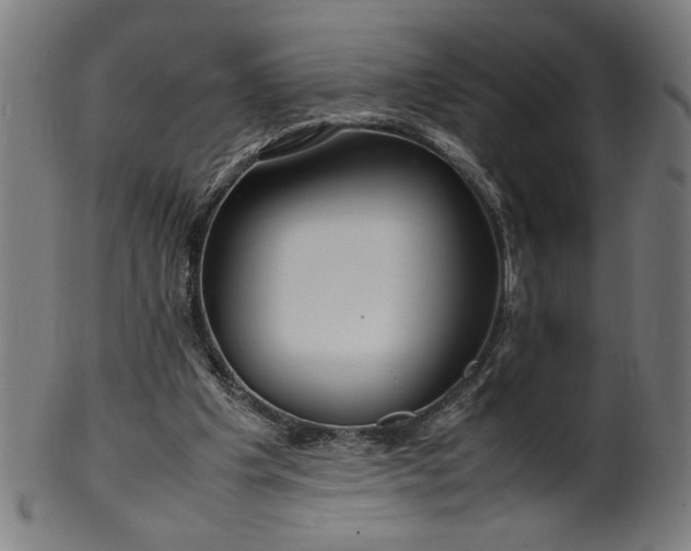 X0000099940201200806061526