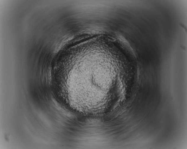 X0000099940202200806061526