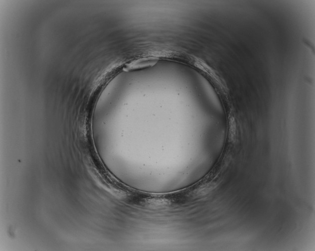 X0000099940203200806061526