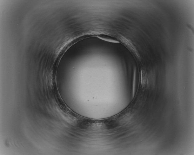 X0000099940204200806061526