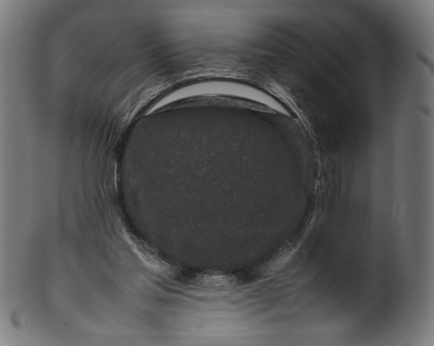 X0000099940205200806061526
