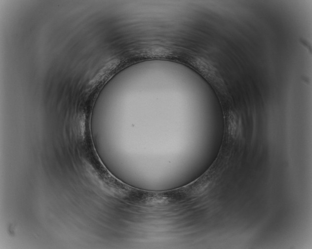 X0000099940206200806061526