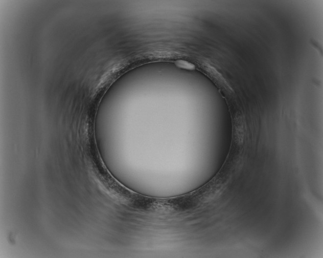 X0000099940207200806061526