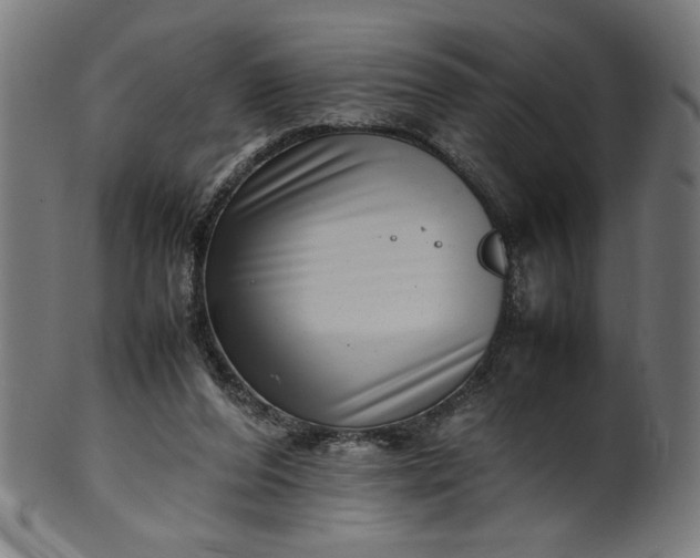 X0000099940208200806061526