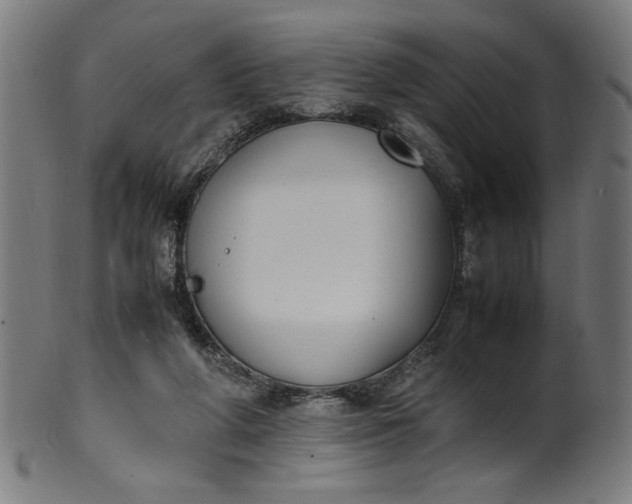 X0000099940210200806061526