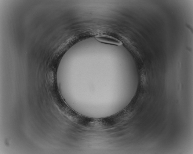 X0000099940211200806061526