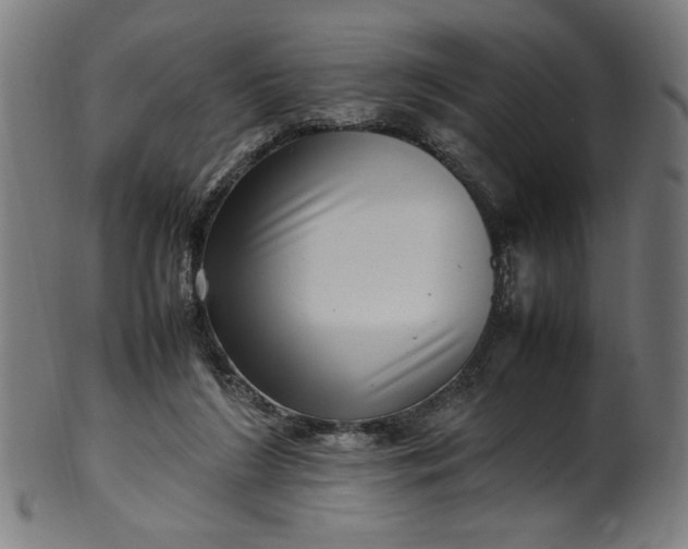 X0000099940212200806061526