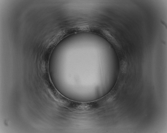 X0000099940213200806061526