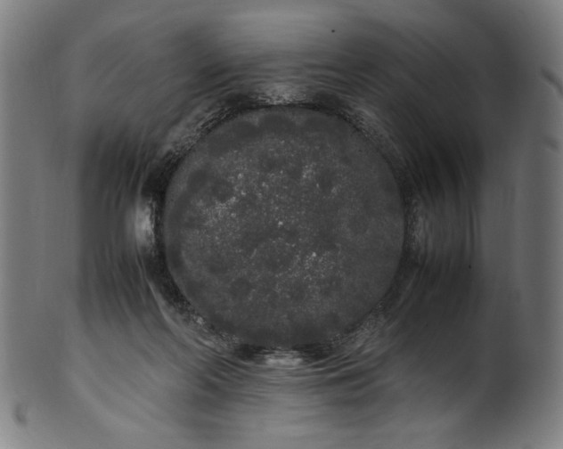 X0000099940214200806061526