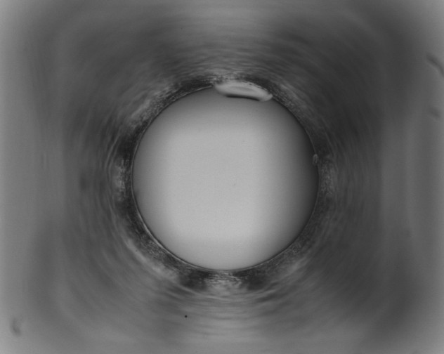 X0000099940215200806061526